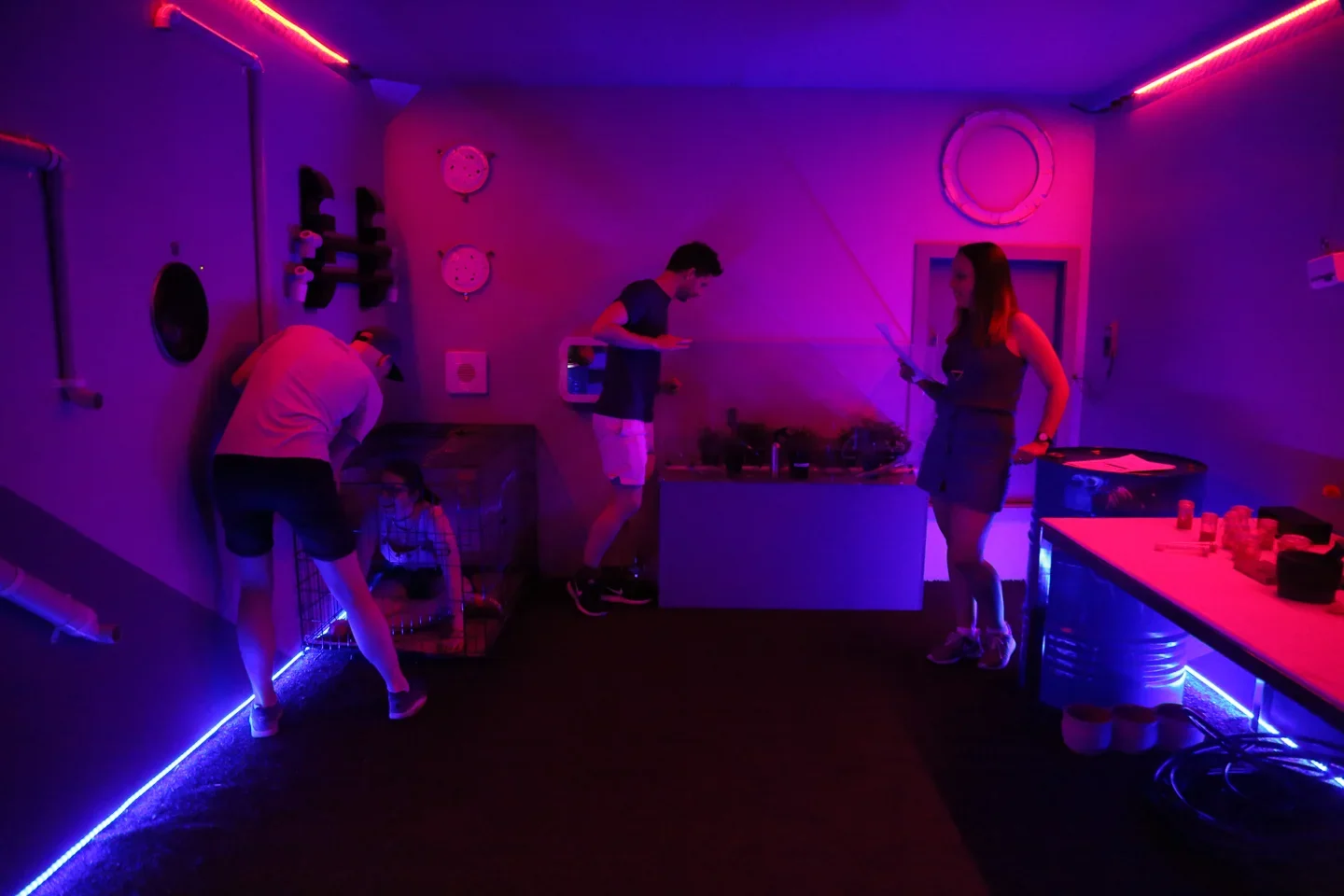 Players inside the pink and blue-lit Earthrise One room.