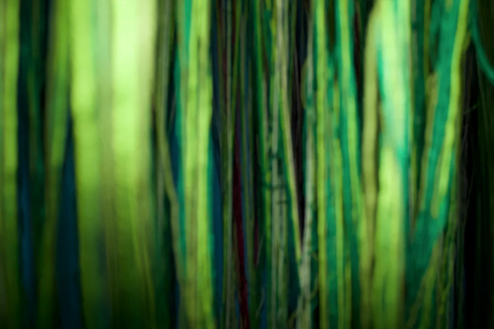 A green forest-like installation in Choir of the Impossible.